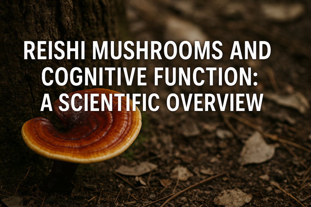 Reishi Mushrooms and Cognitive Function: A Scientific Overview