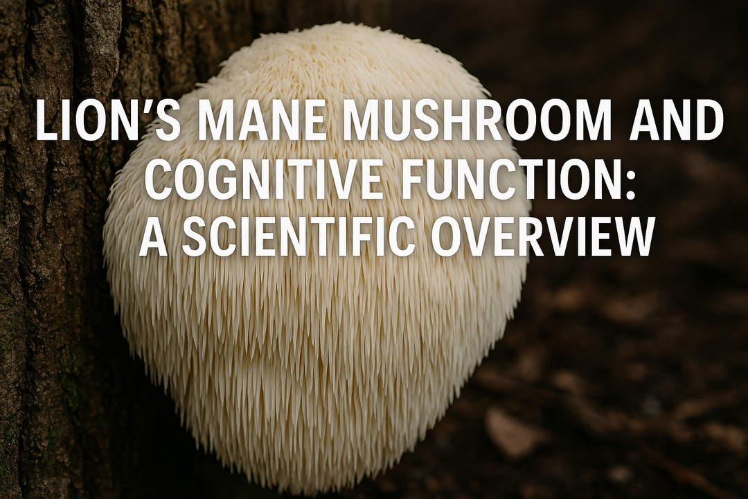 Lion’s Mane Mushroom and Cognitive Function: A Scientific Overview