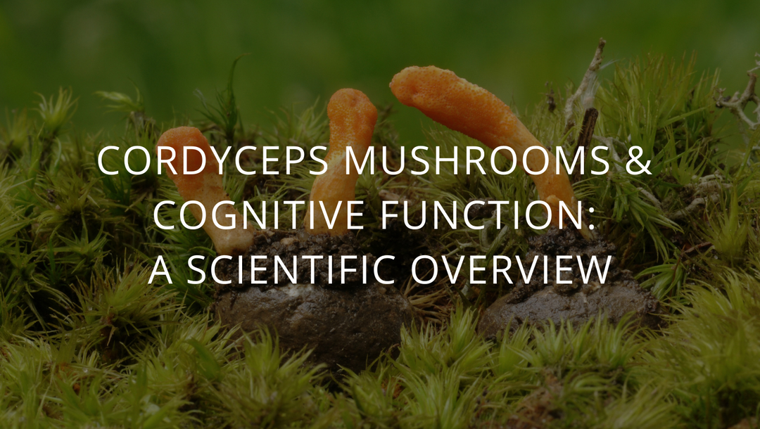 Cordyceps Mushrooms and Cognitive Function: A Scientific Overview